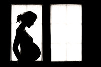 indoor maternity silhouettes-2